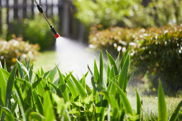 24/7 Emergency Wasp Removal experts in East Moline, IL