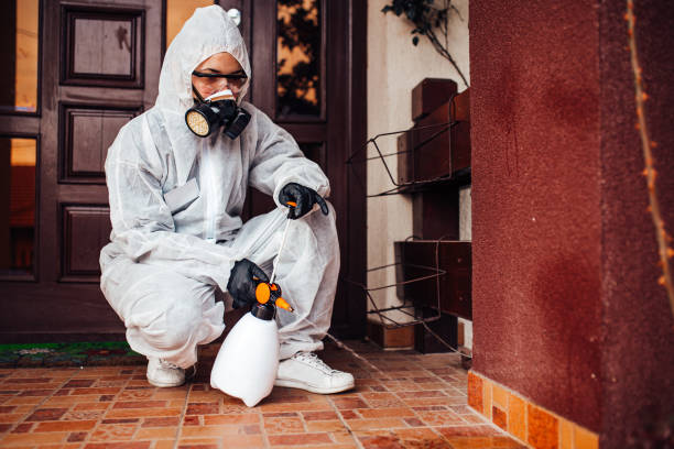 Reliable Wasp Removal contractor in East Moline, IL by Show Me Pest Control