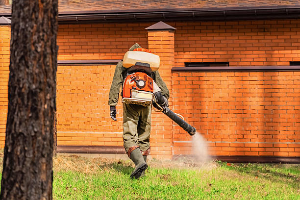 Top rated local Wasp Removal specialists in East Moline, IL